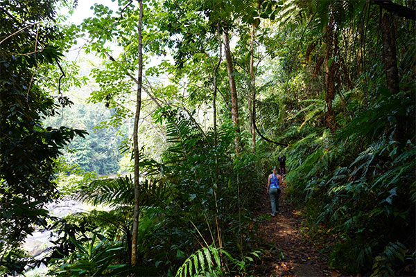Die Aparakka-Wanderwege