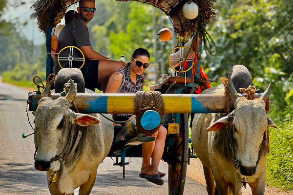 Ihre Zufriedenheit ist unser Versprechen