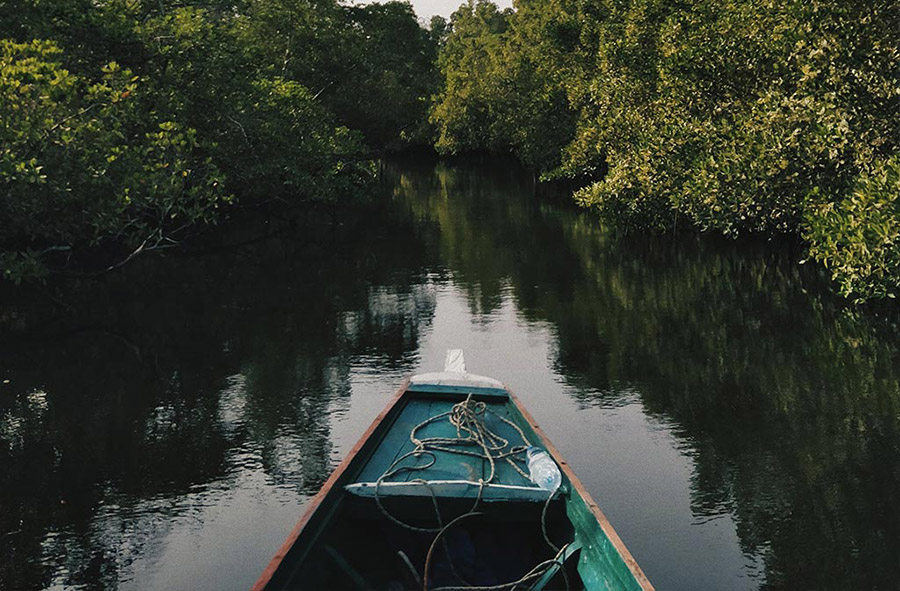 Tropische Essenz: Luxuriöse 14-Tage-Reise durch Sri Lankas Highlights