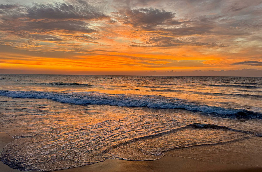 Serendib-Flucht: 14 Tage magisches Sri Lanka - Kulturhighlights & Naturschätze