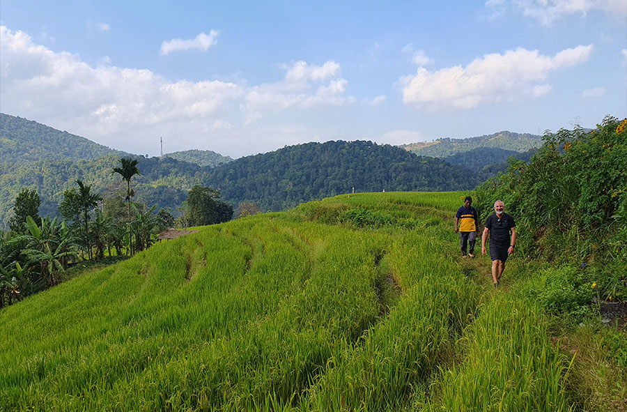 Sri Lanka Abenteuerreise: Hochland & Küste Action Trail